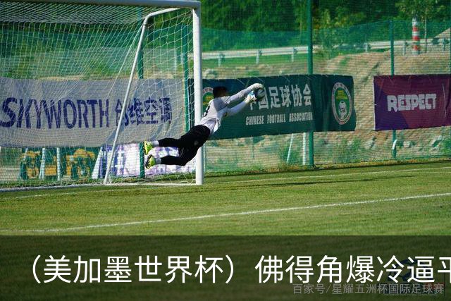 （美加墨世界杯）佛得角爆冷逼平西班牙 比利时埃及握手言和